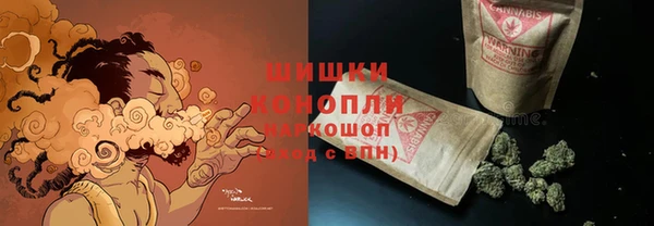 PSILOCYBIN Богданович