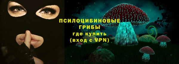 PSILOCYBIN Богданович