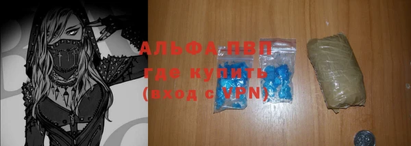 PSILOCYBIN Богданович