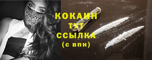 PSILOCYBIN Богданович