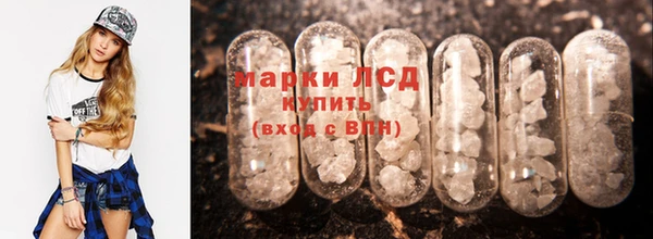 PSILOCYBIN Богданович