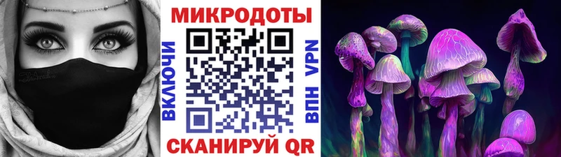 Купить закладки  Грязи  Псилоцибиновые грибы мицелий 
