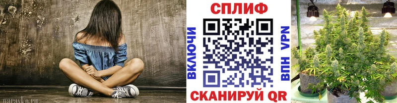 Купить где  Грязи  МАРИХУАНА семена 